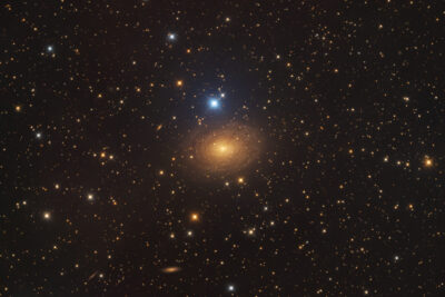 Mehr über den Artikel erfahren IC 356