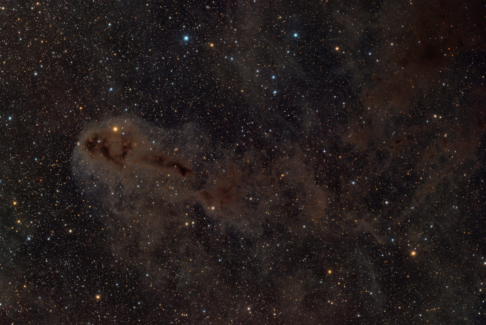 Rotten Fish Nebula