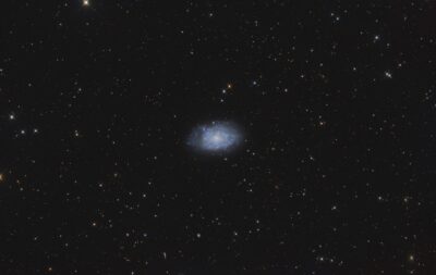 NGC 7793 im Bildhauer