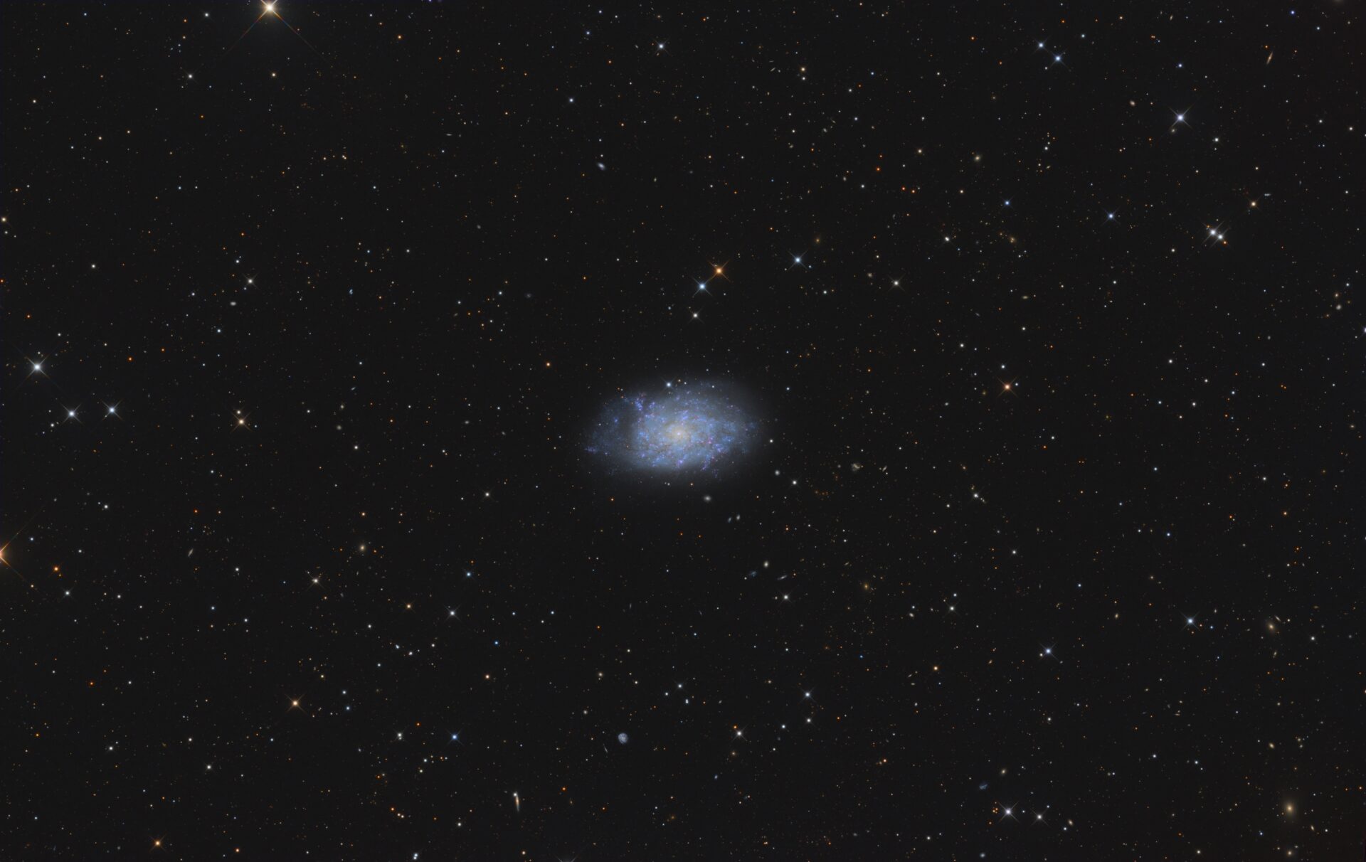 NGC 7793 im Bildhauer