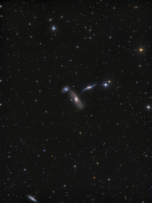 Arp 286