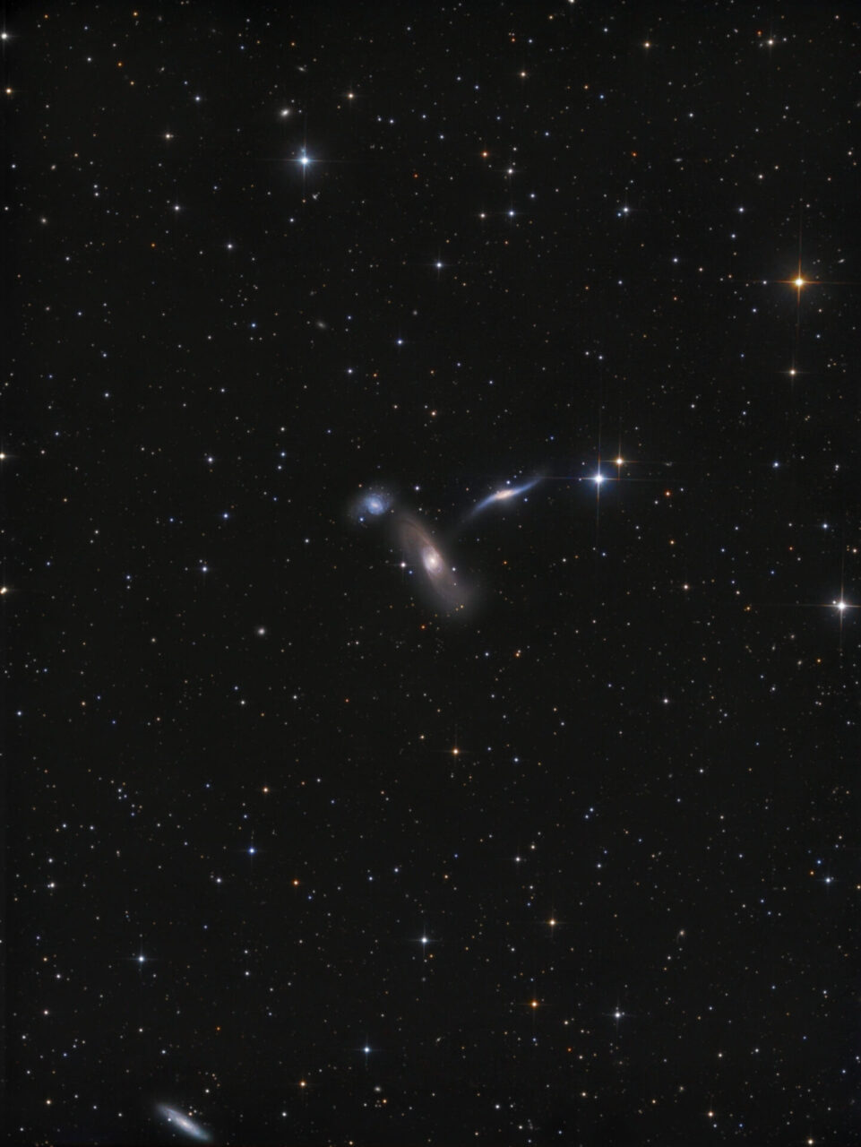 Arp 286