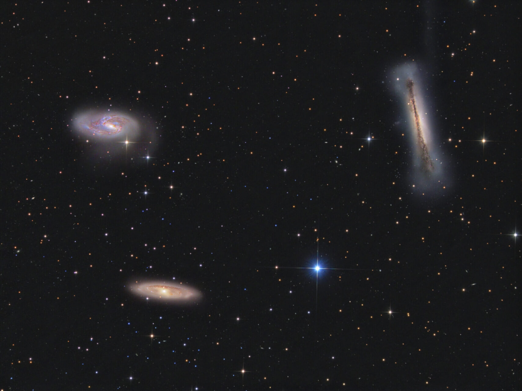 Leo Triplett