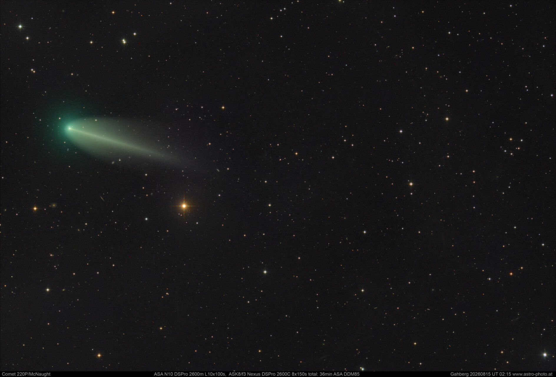 C220P McNaught