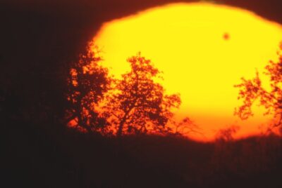 Mehr über den Artikel erfahren Venustransit am 6. Juni 2012 – Sonnenaufgang