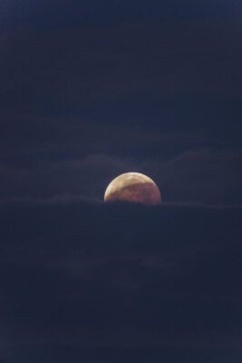 Mehr über den Artikel erfahren Totale Mondfinsternis am 21. Jänner 2019 (III)