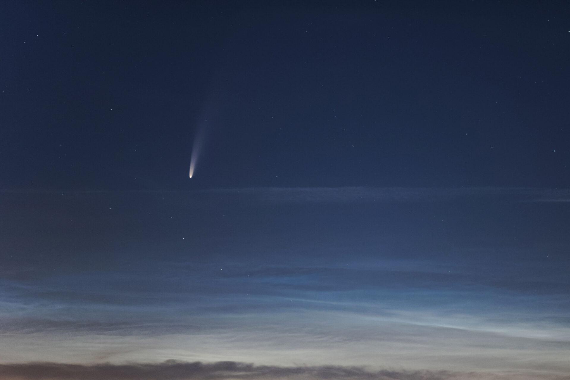 Komet NEOWISE am Morgenhimmel