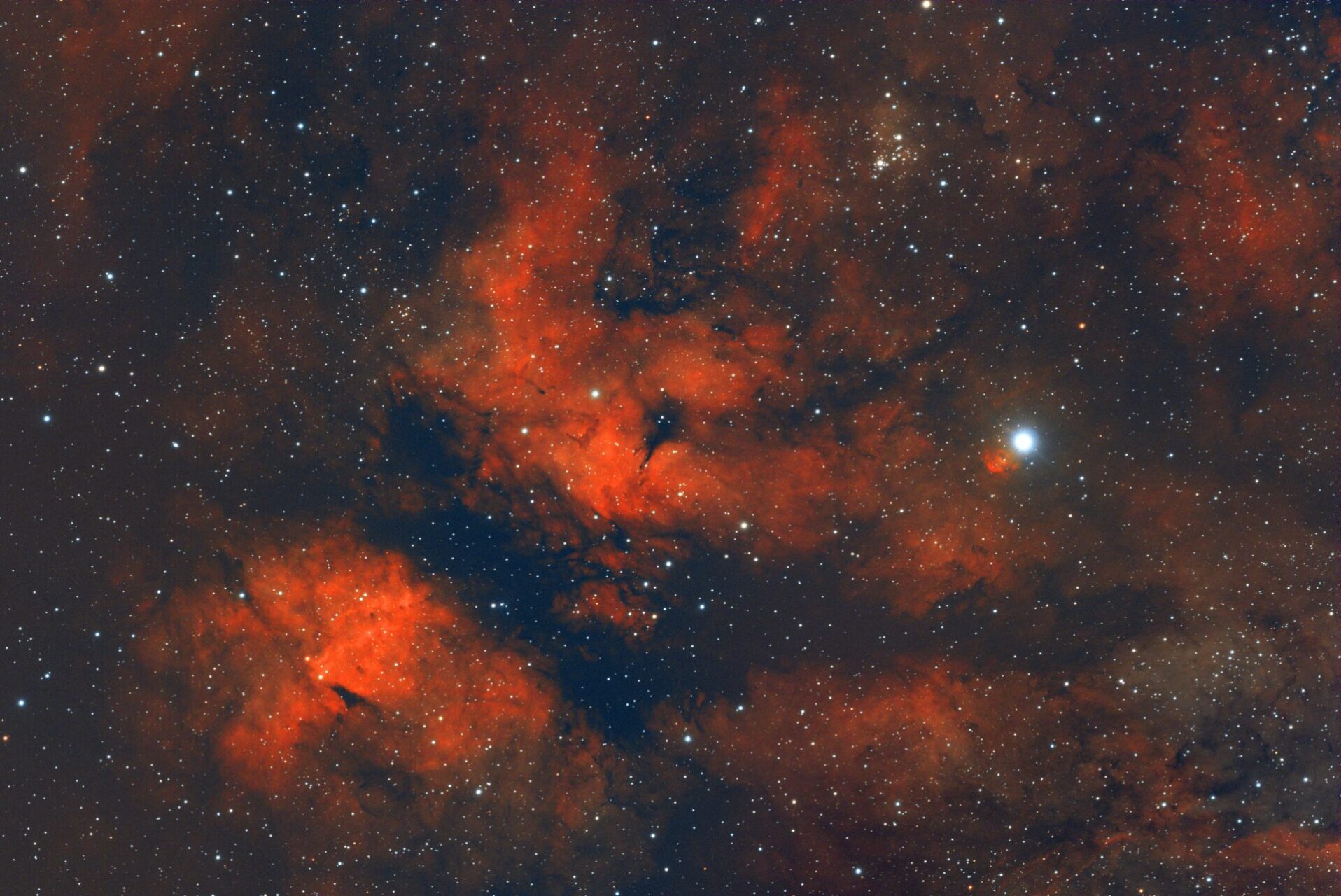 IC 1318, der Schmetterling