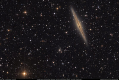 NGC 891