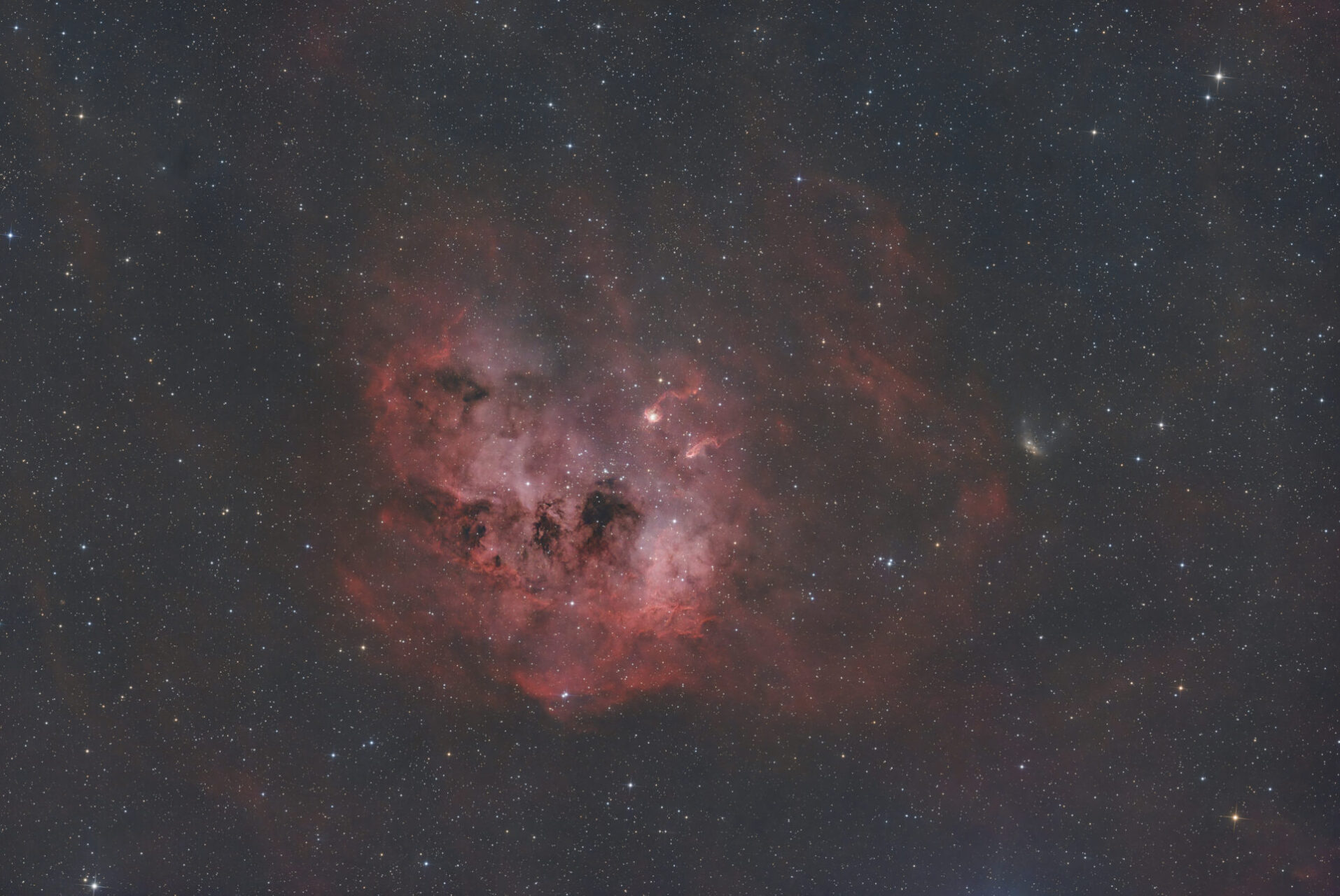 Tadpole Nebula