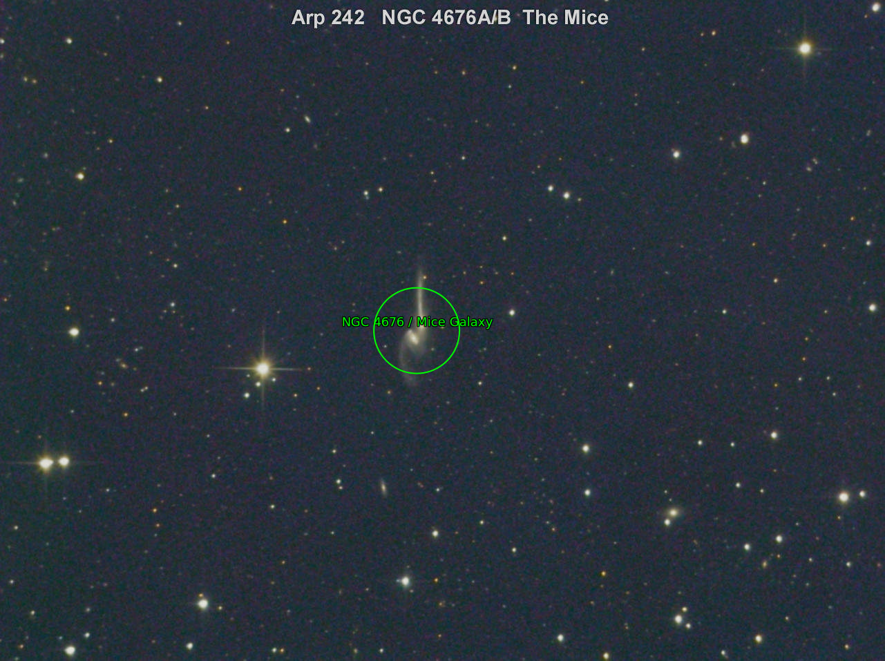 Sternkarten-Overlay (Astrometry.net)