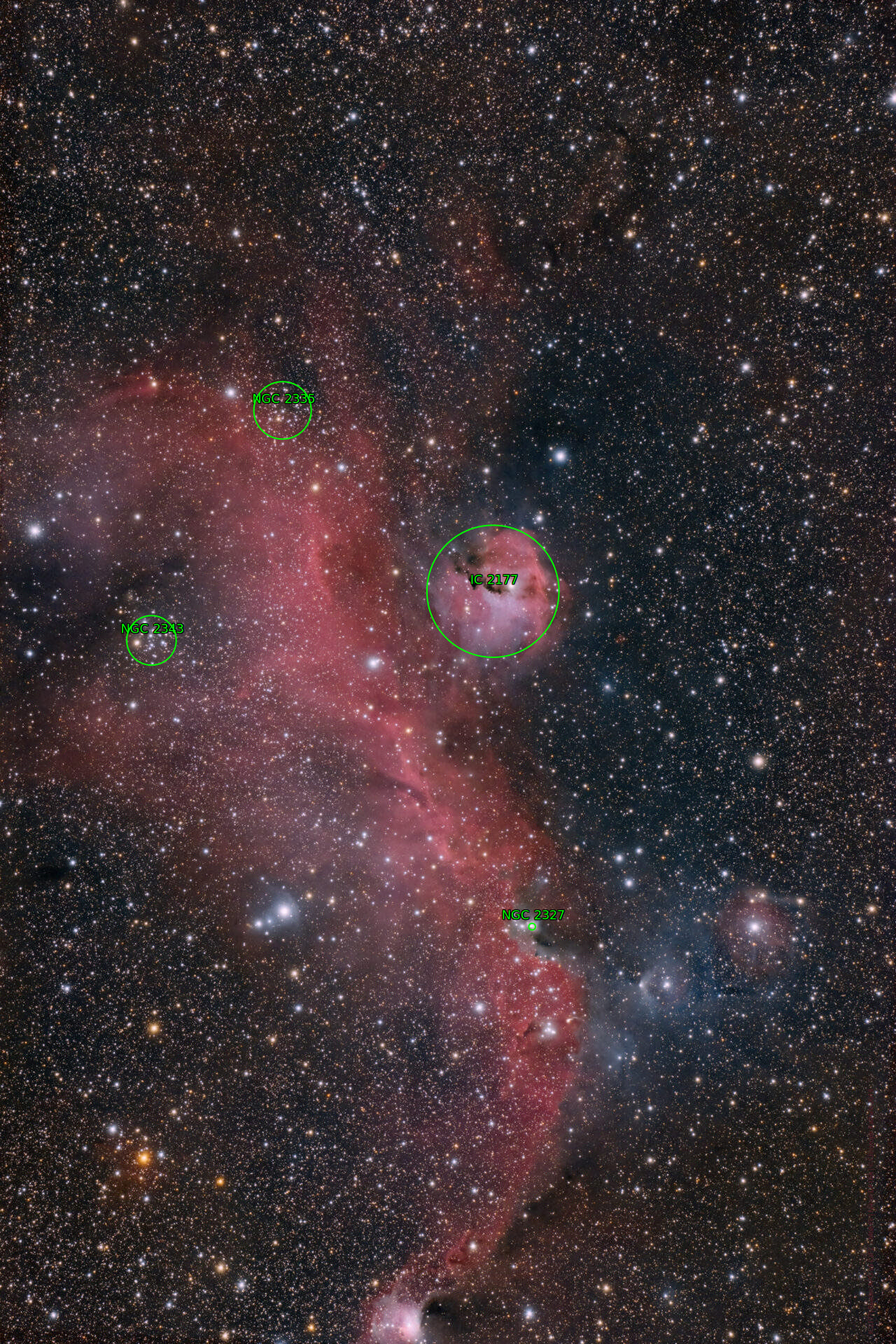 Sternkarten-Overlay (Astrometry.net)