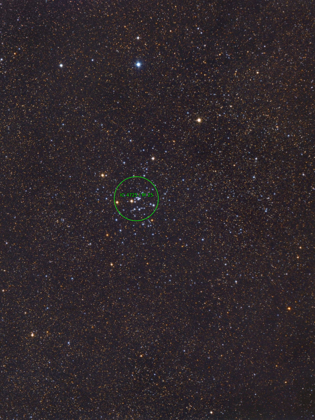 Sternkarten-Overlay (Astrometry.net)