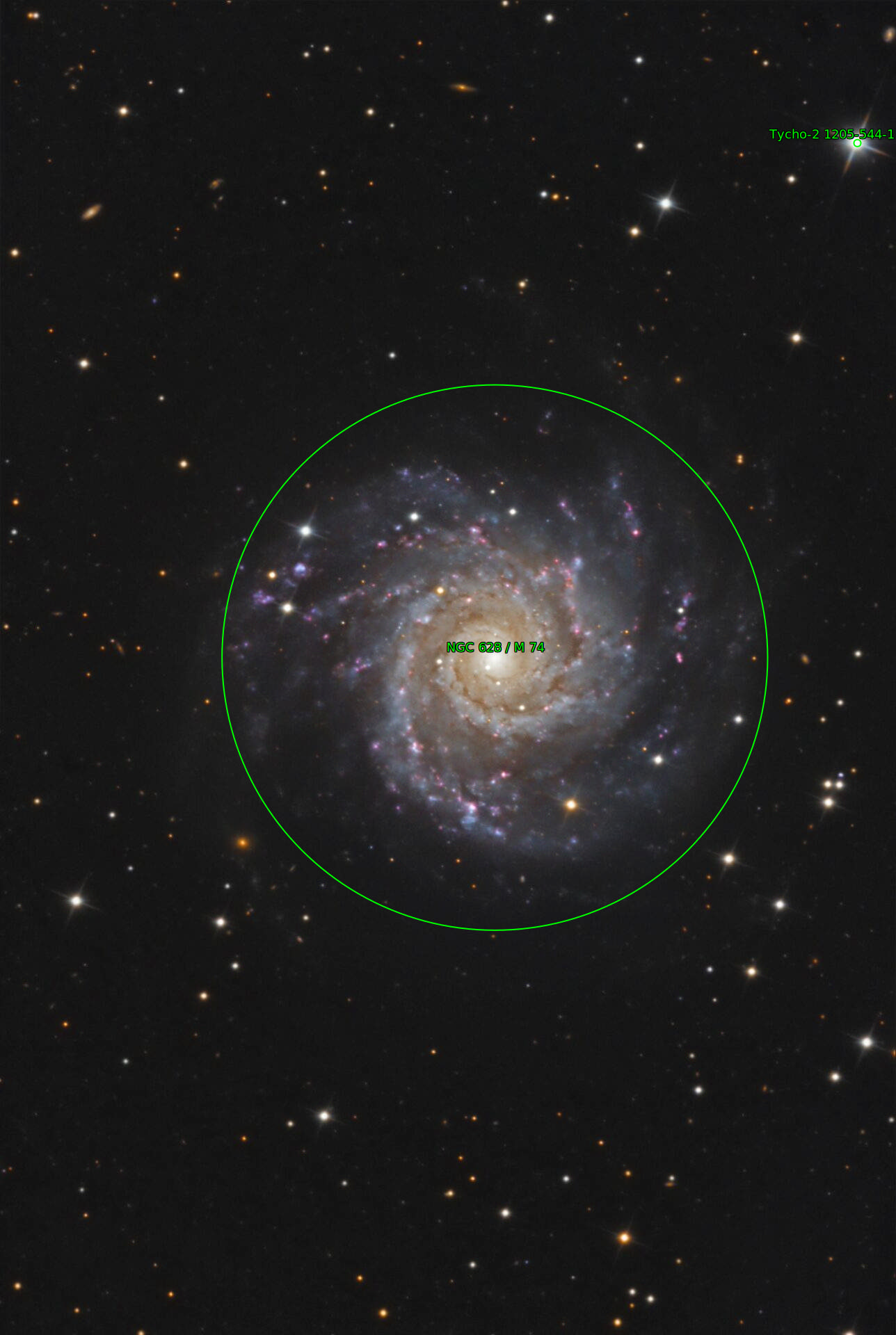 Sternkarten-Overlay (Astrometry.net)