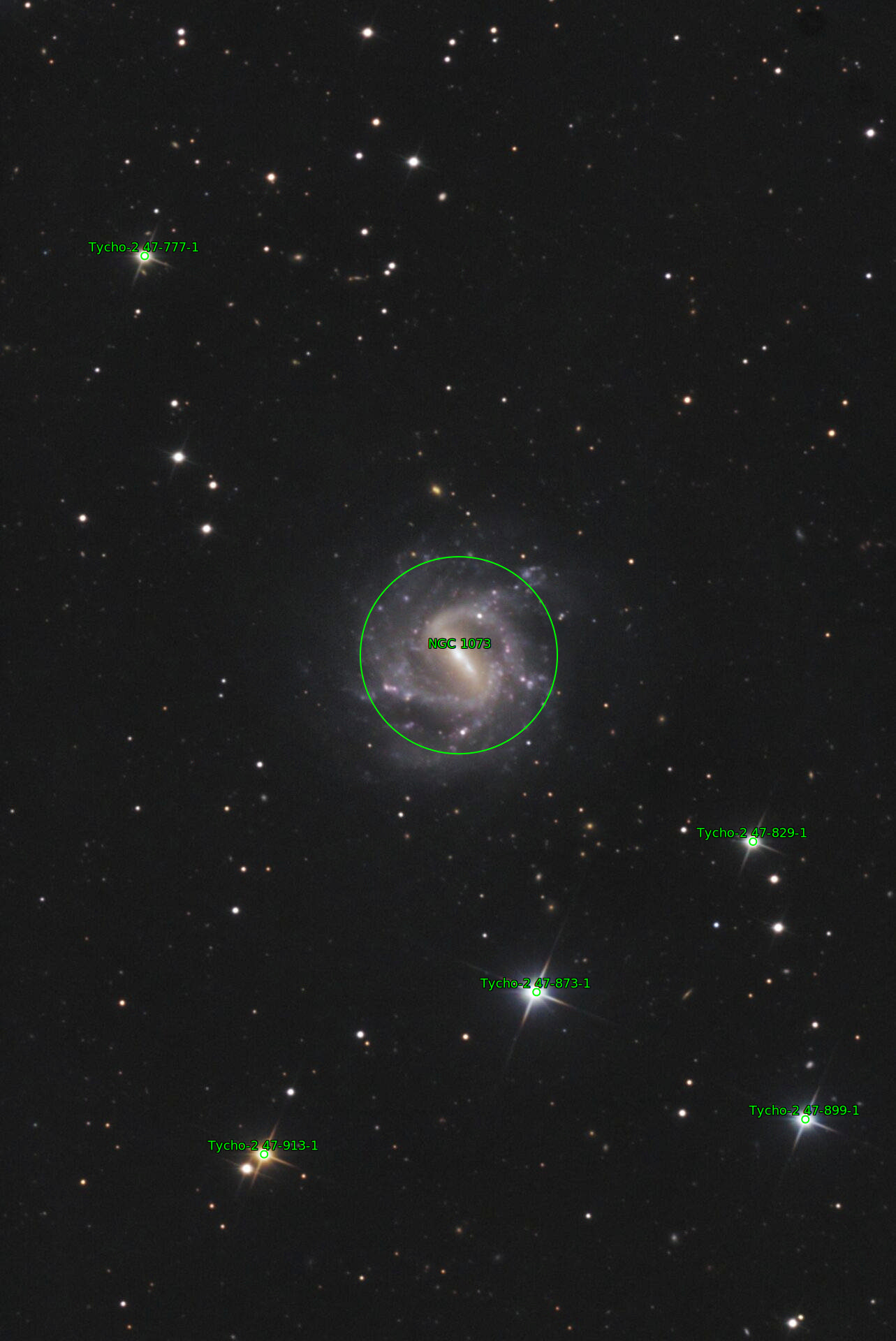 Sternkarten-Overlay (Astrometry.net)